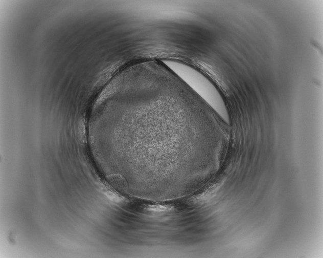 X0000096480453200802071924