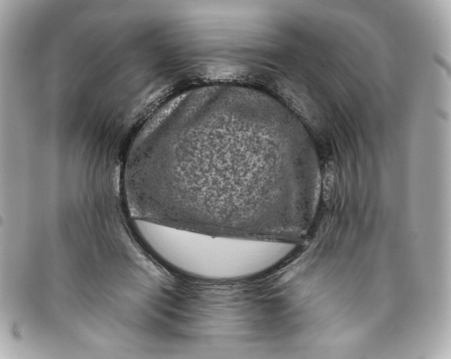 X0000096480454200802071924