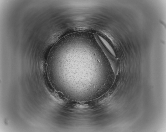 X0000096480455200802071924