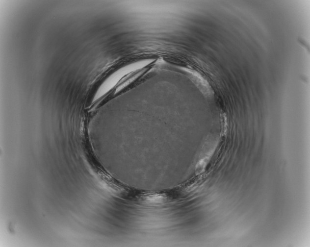 X0000096480456200802071924