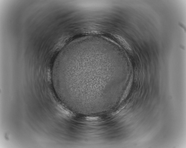 X0000096480457200802071924