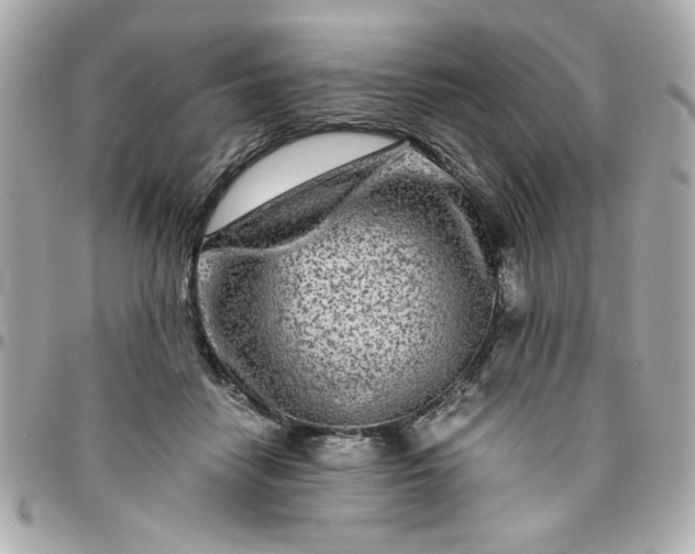 X0000096480458200802071924