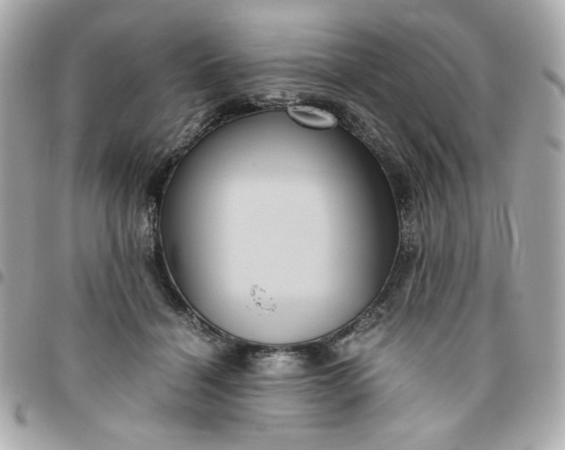 X0000096480460200802071924