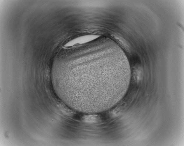 X0000096480461200802071924