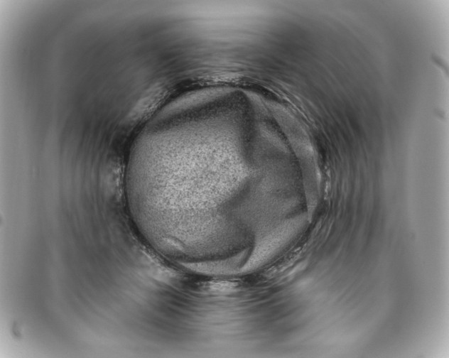 X0000096480462200802071924