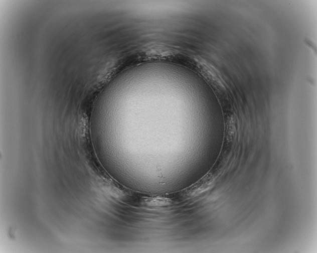 X0000096480463200802071924