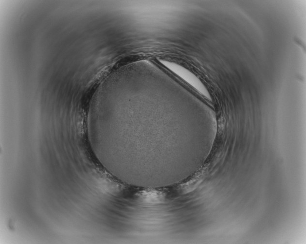 X0000096480464200802071924