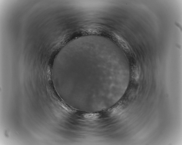 X0000096480465200802071924