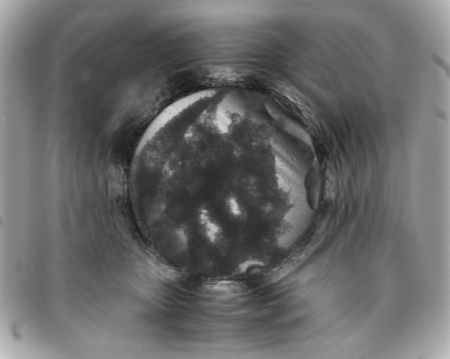 X0000096480467200802071924