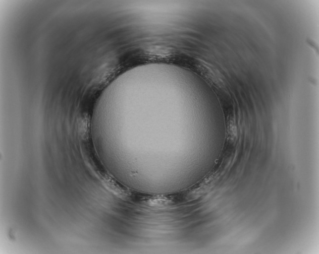 X0000096480468200802071924