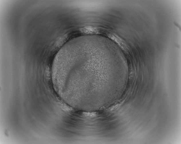 X0000096480469200802071924