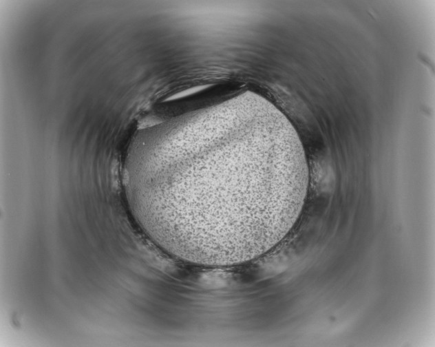 X0000096480470200802071924