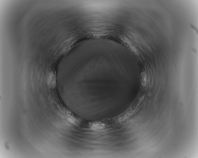 X0000096480471200802071924