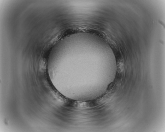 X0000096480472200802071924