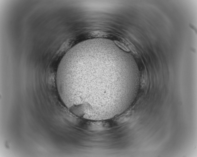 X0000096480473200802071924