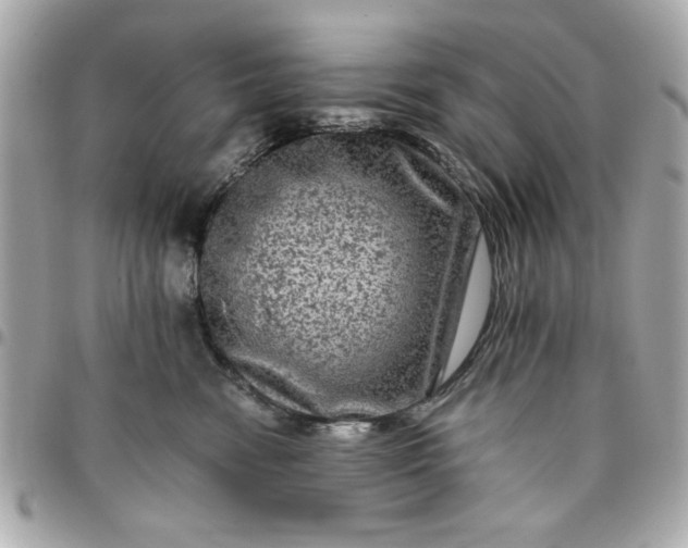 X0000096480474200802071924