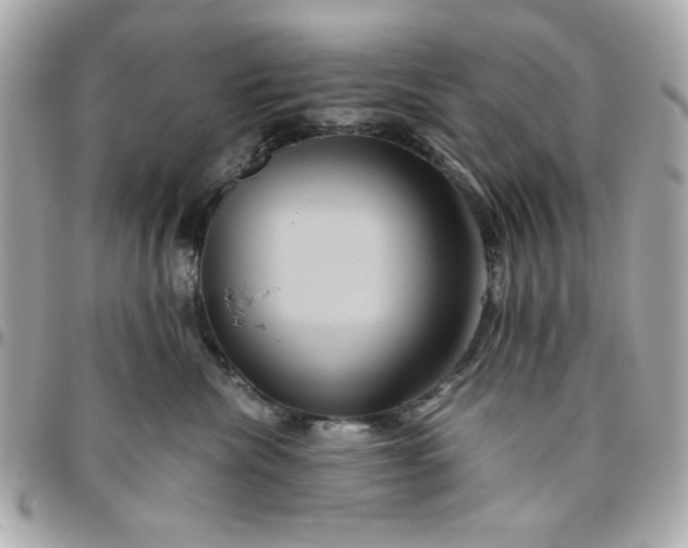 X0000096480476200802071924