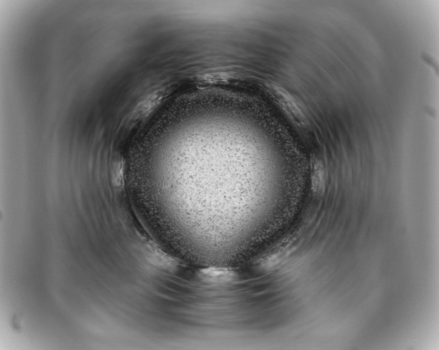 X0000096480477200802071924