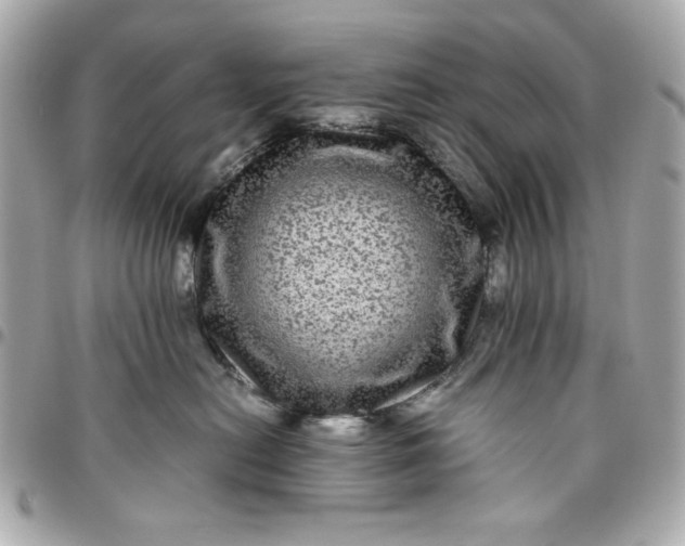 X0000096480478200802071924