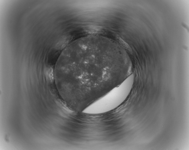 X0000096480479200802071924