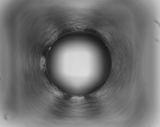 X0000096480480200802071924