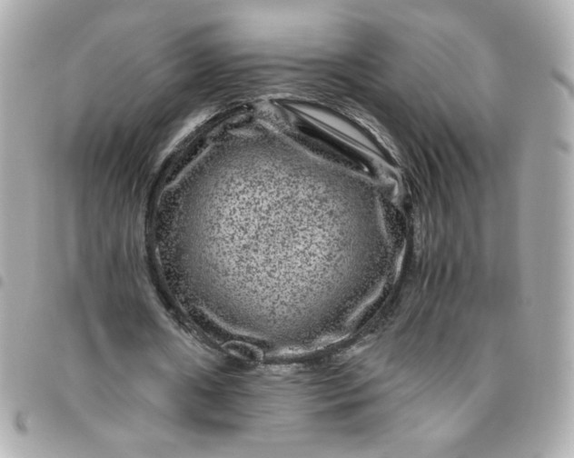 X0000096480482200802071923