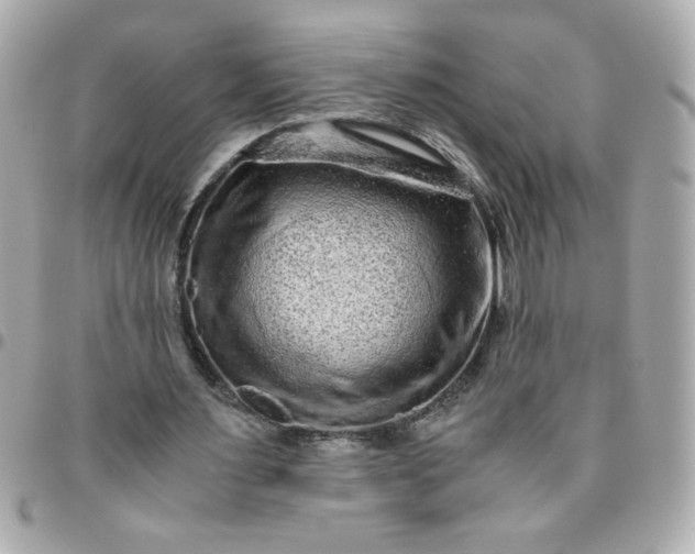 X0000096480483200802071923