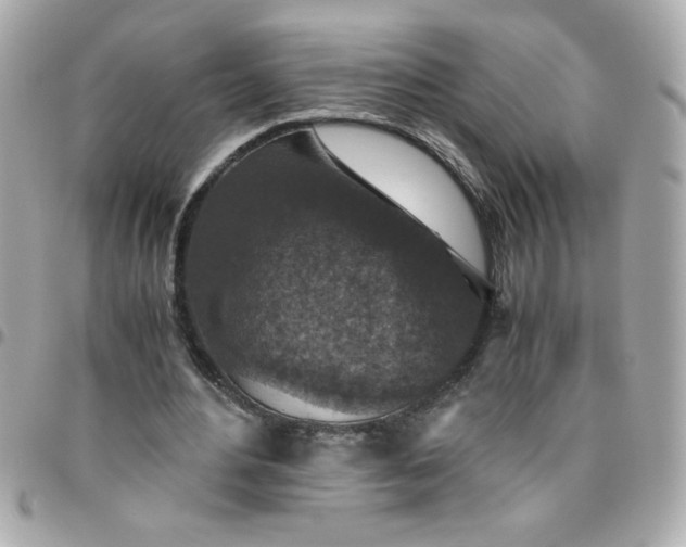 X0000096480484200802071923