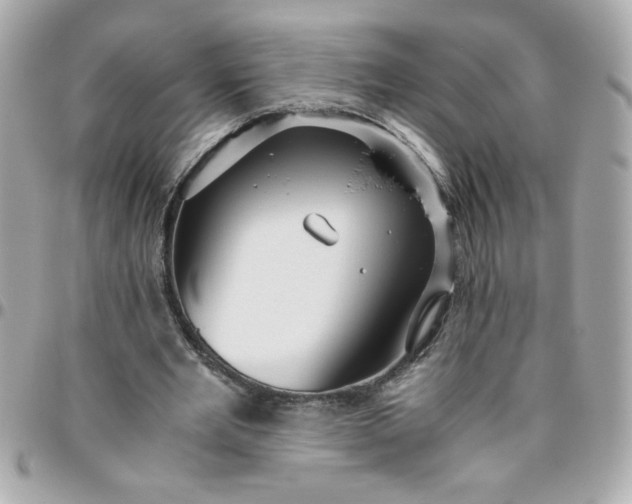 X0000096480485200802071923