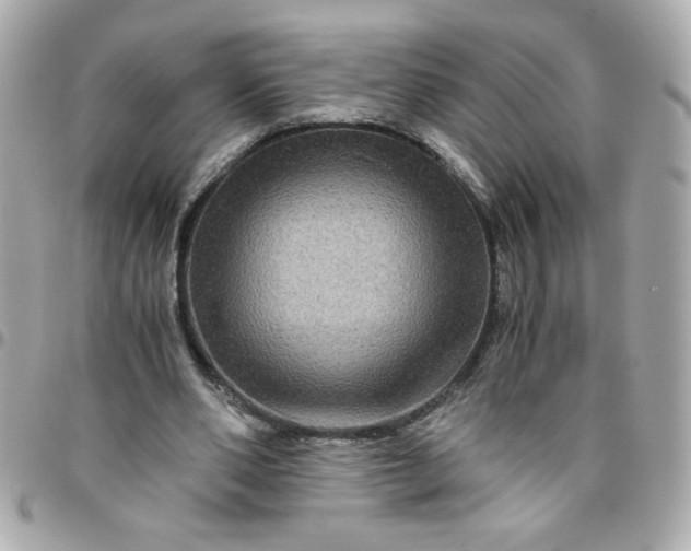 X0000096480486200802071923