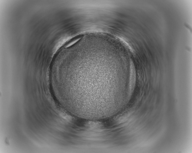 X0000096480487200802071923