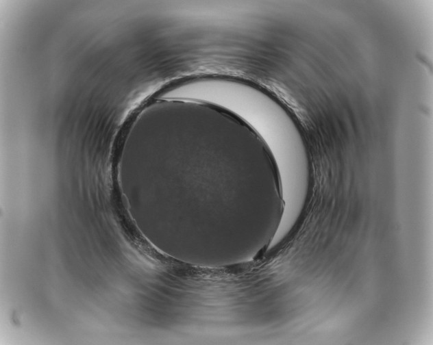 X0000096480488200802071923