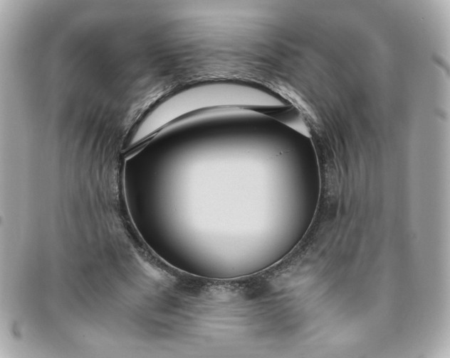 X0000096480489200802071923