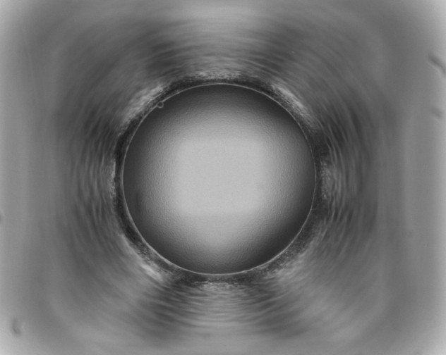 X0000096480490200802071923