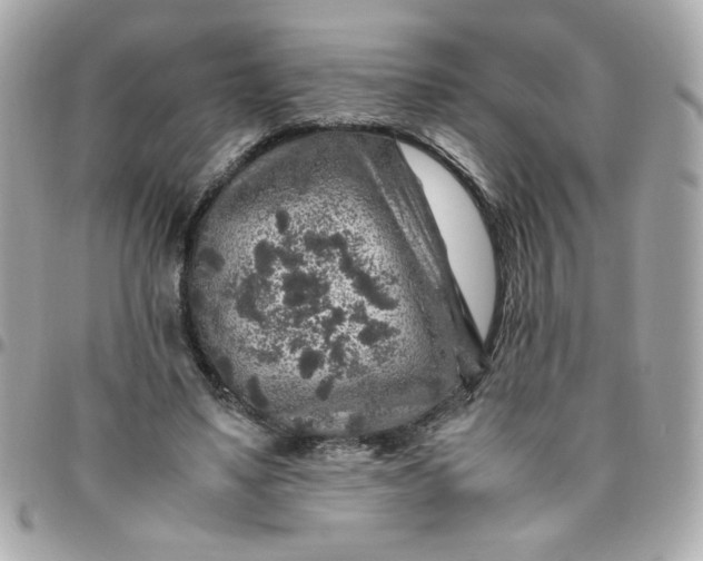 X0000096480491200802071923