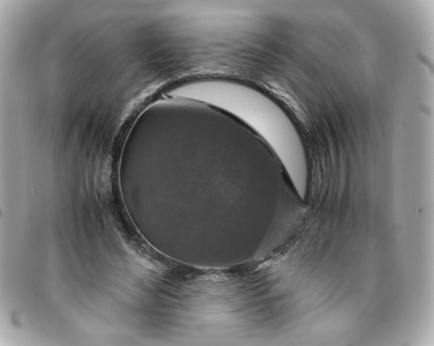 X0000096480492200802071923