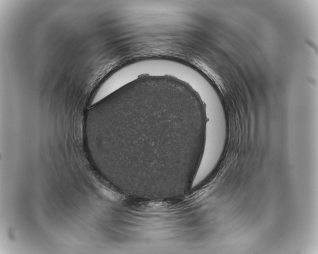 X0000096480493200802071923