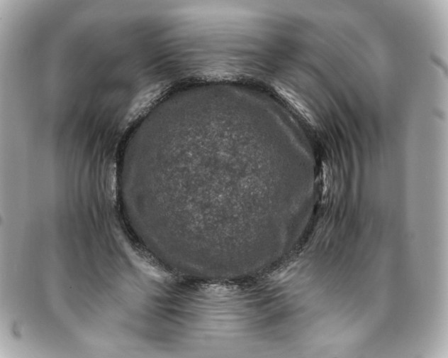 X0000096480494200802071923