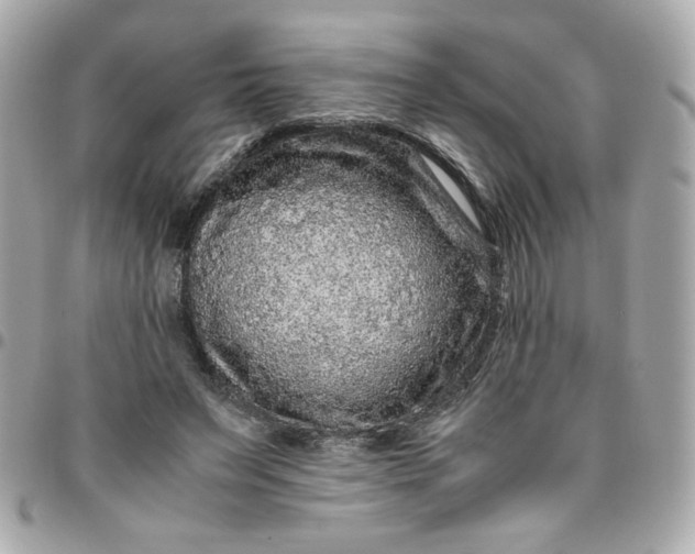 X0000096480495200802071923