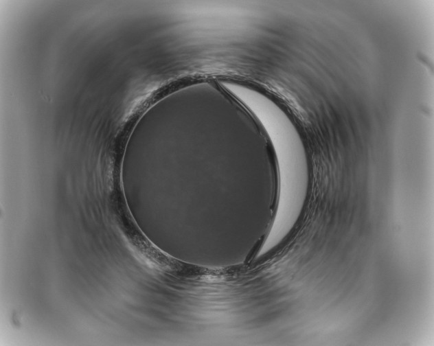 X0000096480496200802071923