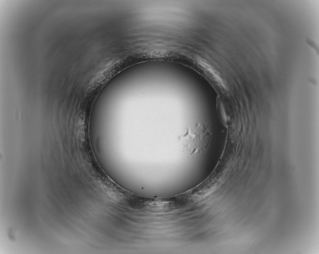 X0000096480497200802071923