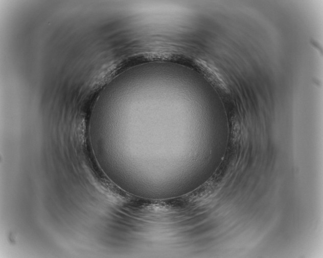 X0000096480498200802071923