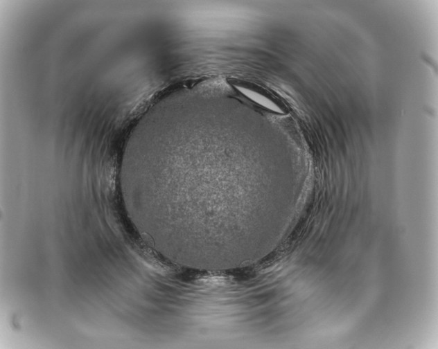 X0000096480499200802071923