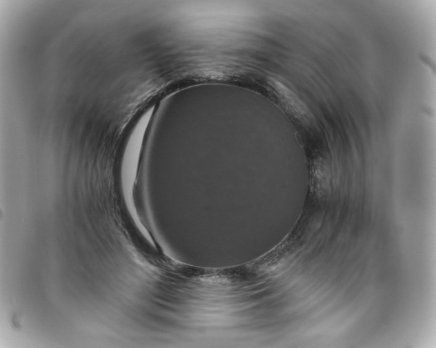 X0000096480500200802071923