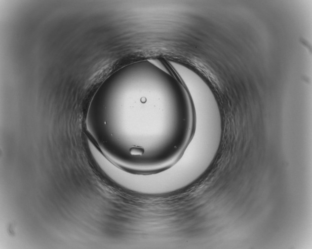 X0000096480501200802071923