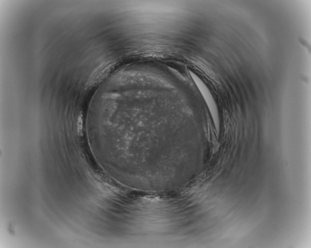 X0000096480502200802071923