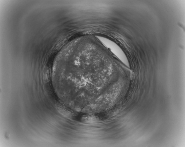 X0000096480503200802071923