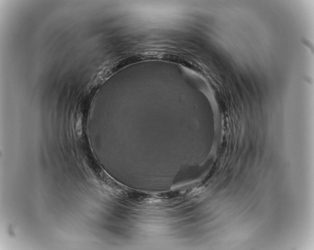 X0000096480504200802071923