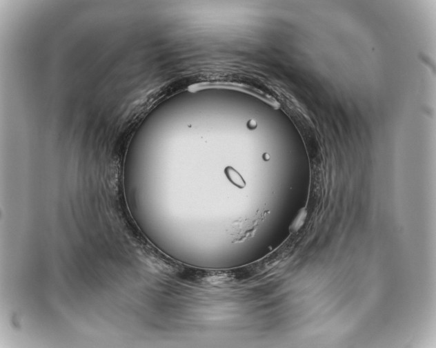 X0000096480505200802071923