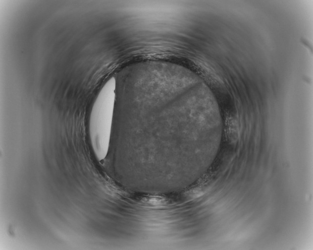 X0000096480506200802071923